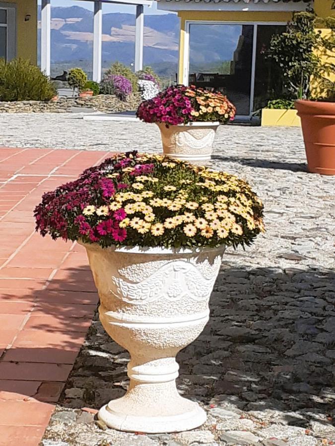 Hotel A Flor Da Rosa 4*